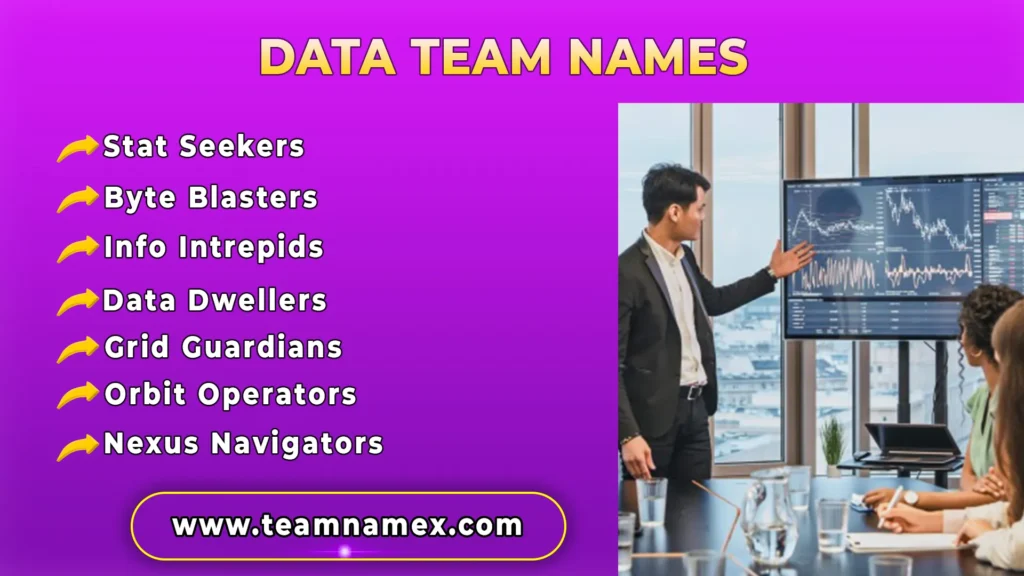 Data Team Names