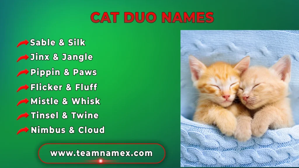 Cat Duo Names