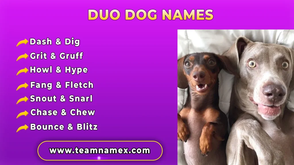 Duo Dog Names