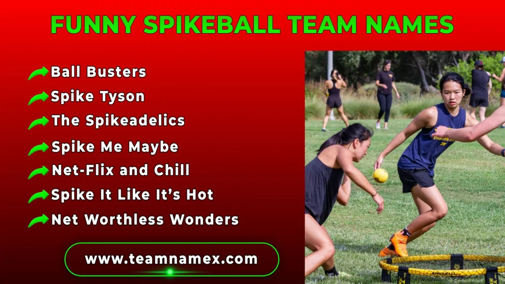 Funny Spikeball Team Names