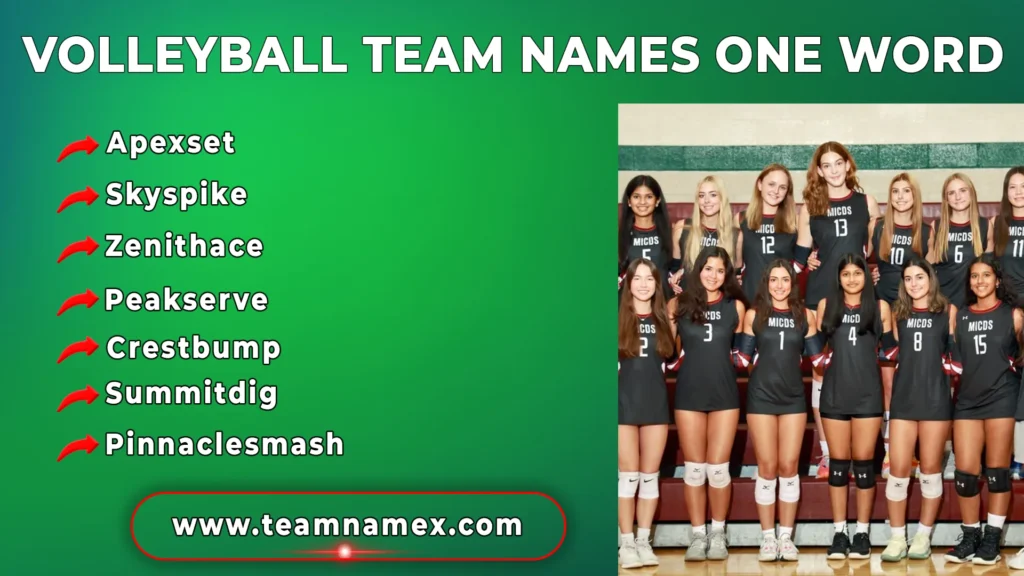 Volleyball Team Names One Word