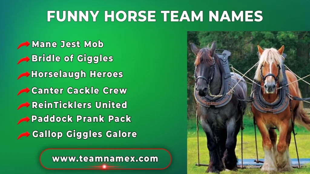 Funny Horse Team Names