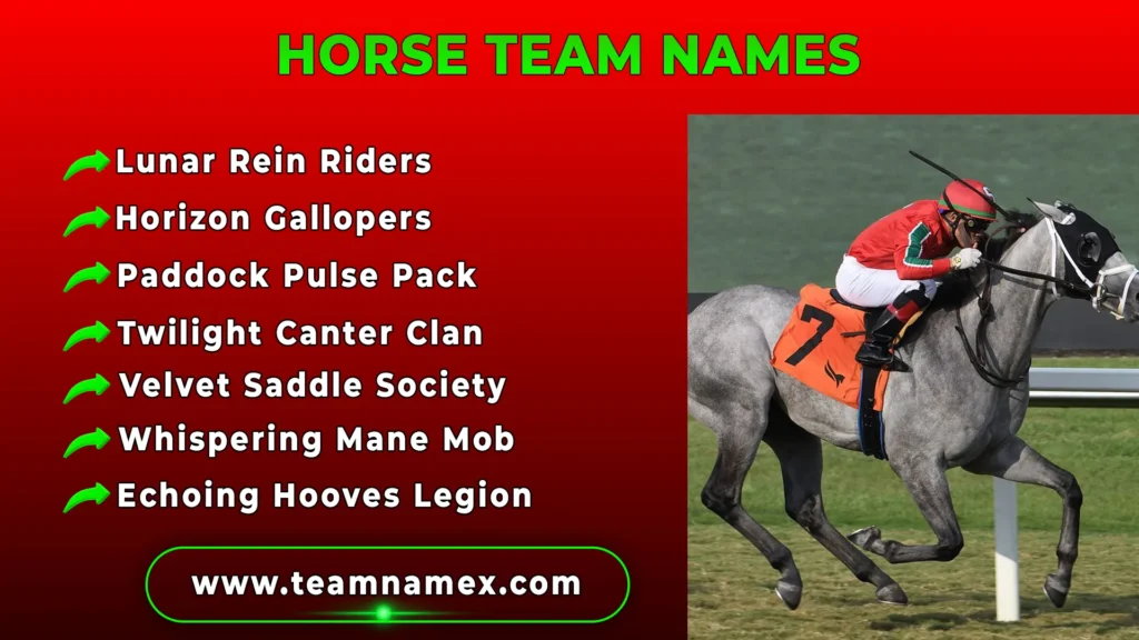 Horse Team Names