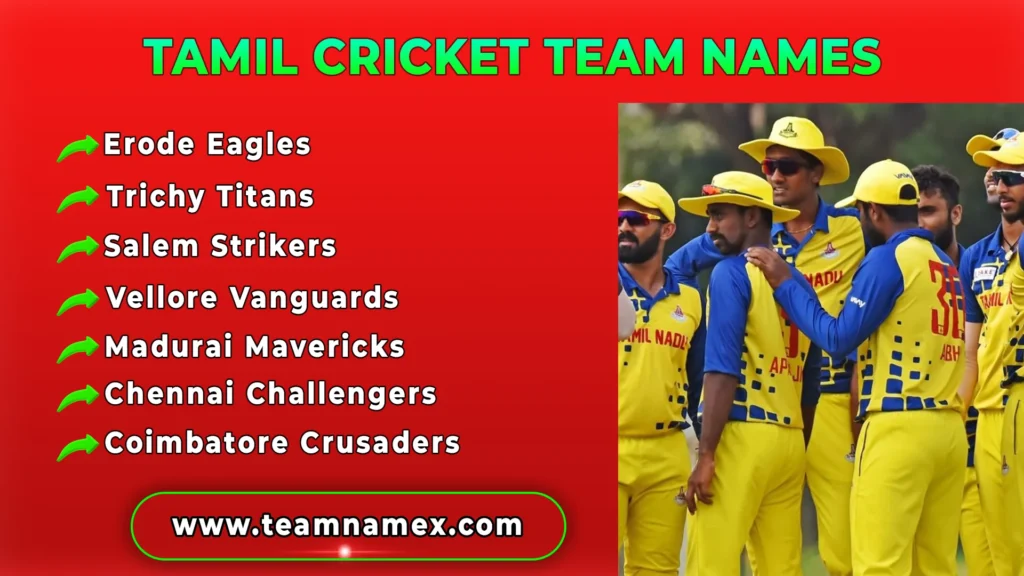 Tamil Cricket Team Names
