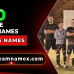 Frisbee Team Names