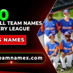 Baseball Team Names for Every League