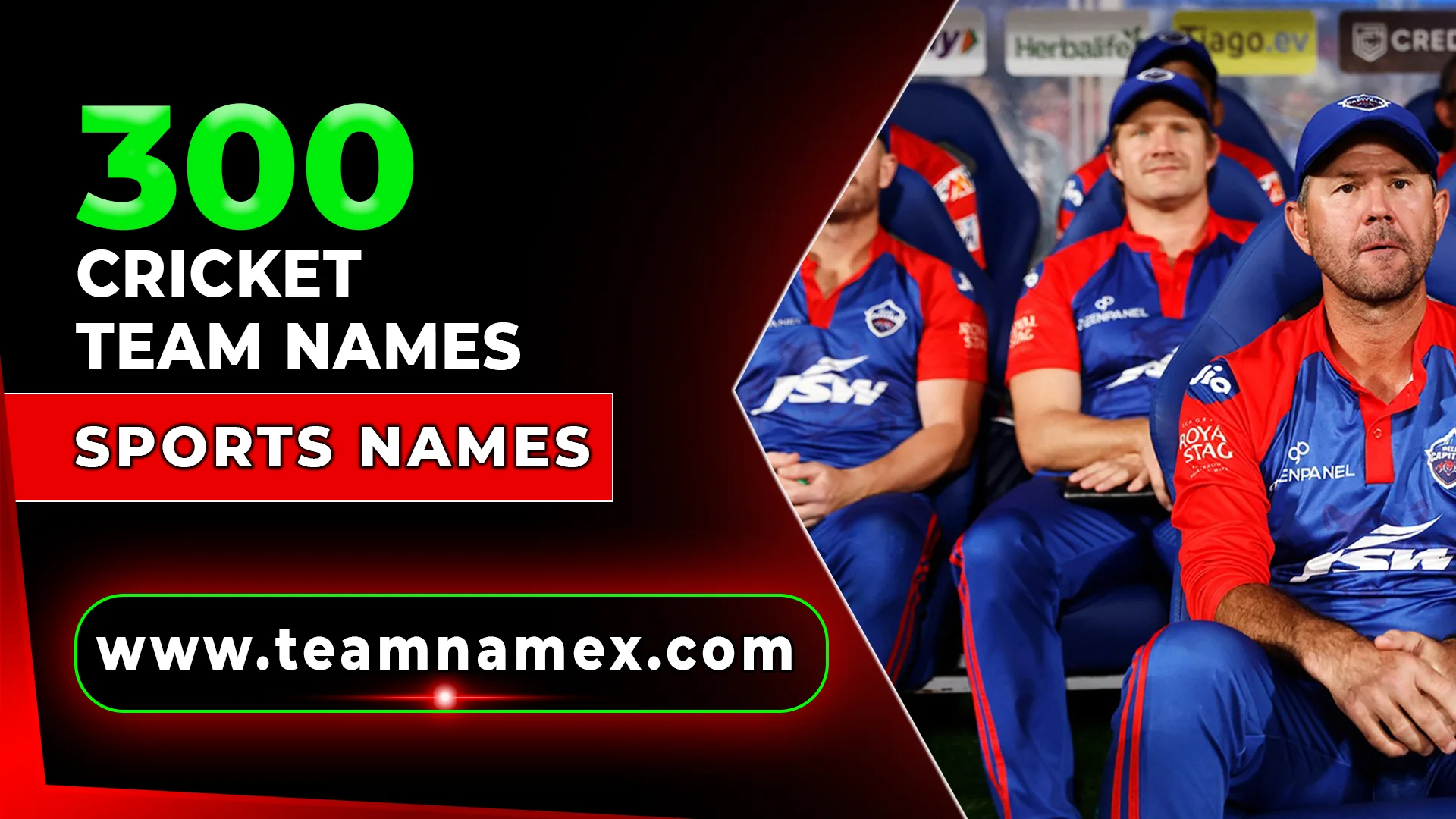 Cricket Team Names
