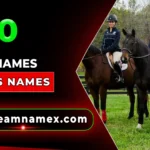 Horse Team Names