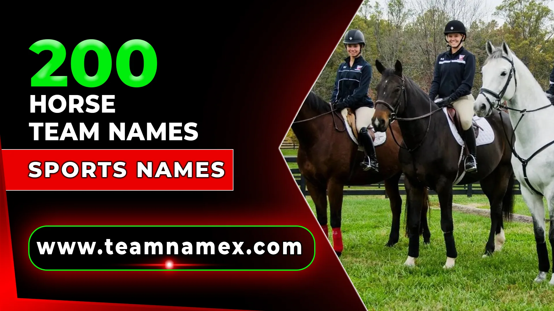 Horse Team Names