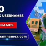Roblox Usernames