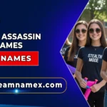 Senior Assassin Team Names