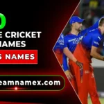 Unique Cricket Team Names